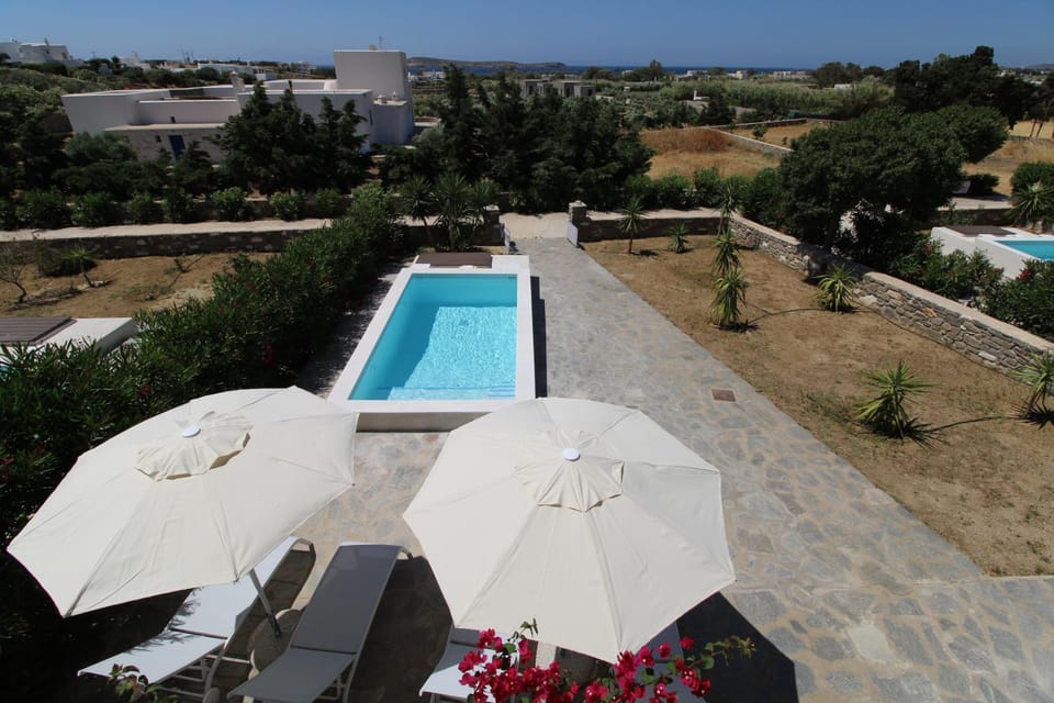 Day, Pool view, Swimming pool, sunbed