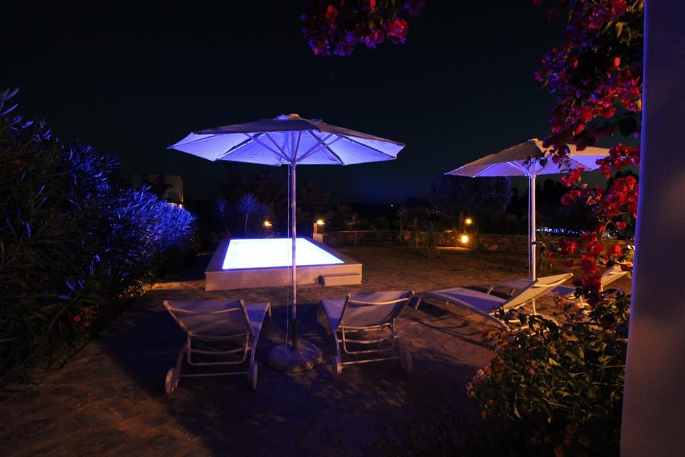 Night, Garden, Garden view, Pool view, sunbed