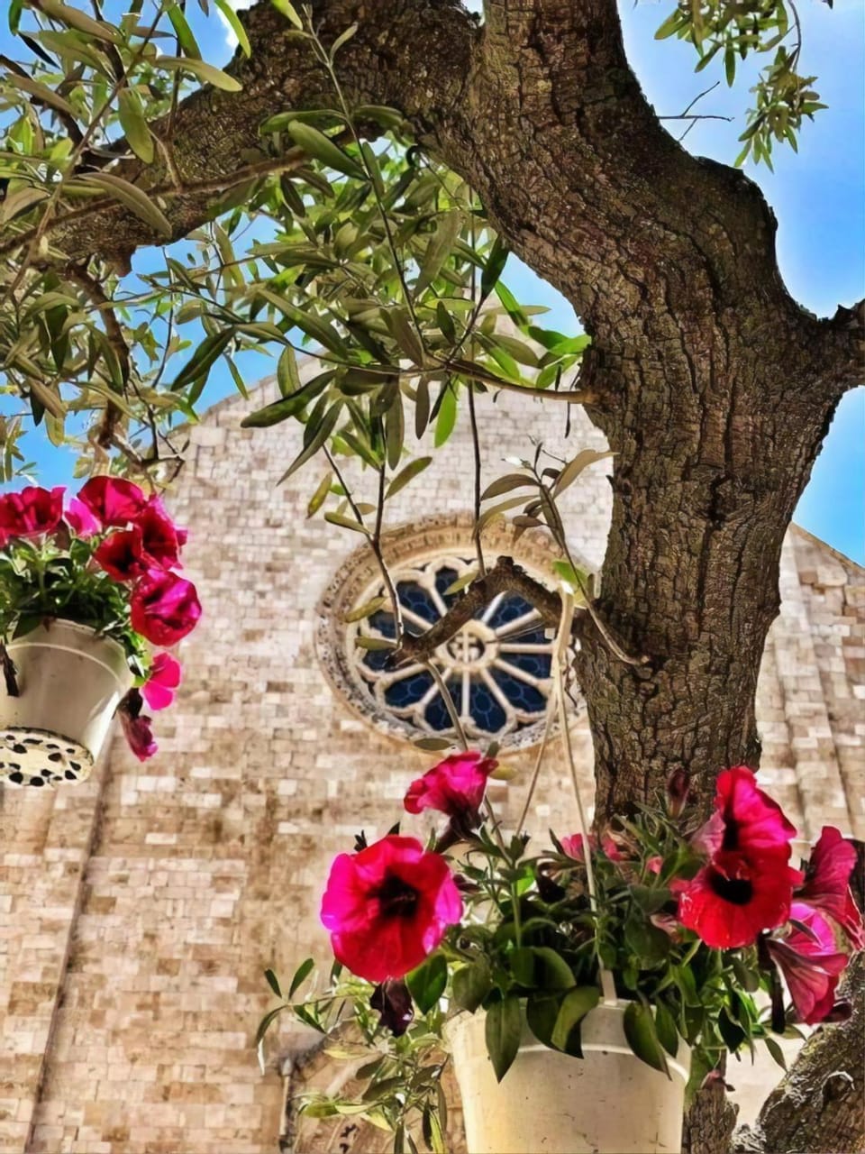 Mansarda romantica "Il nido delle rondini" Apartment in Conversano