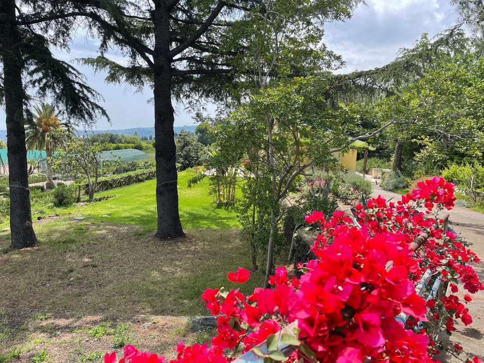 Garden, Garden