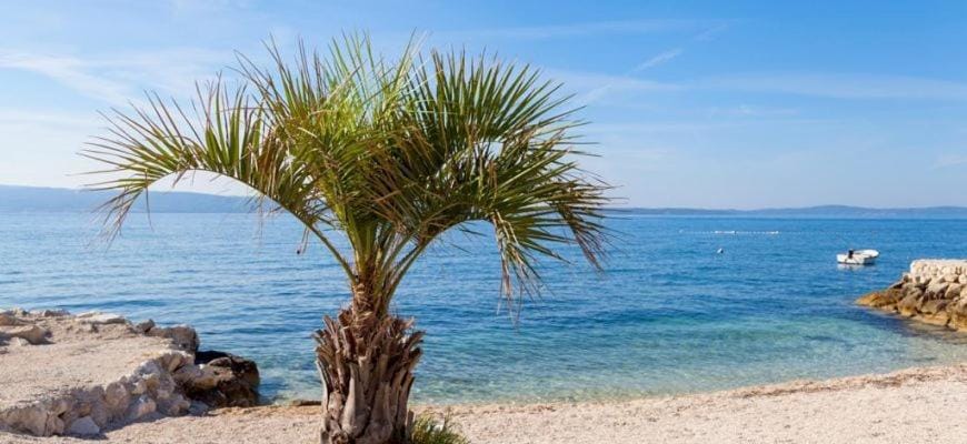 Apartments Viking - In The OLD TOWN of SPLIT Apartment in Split