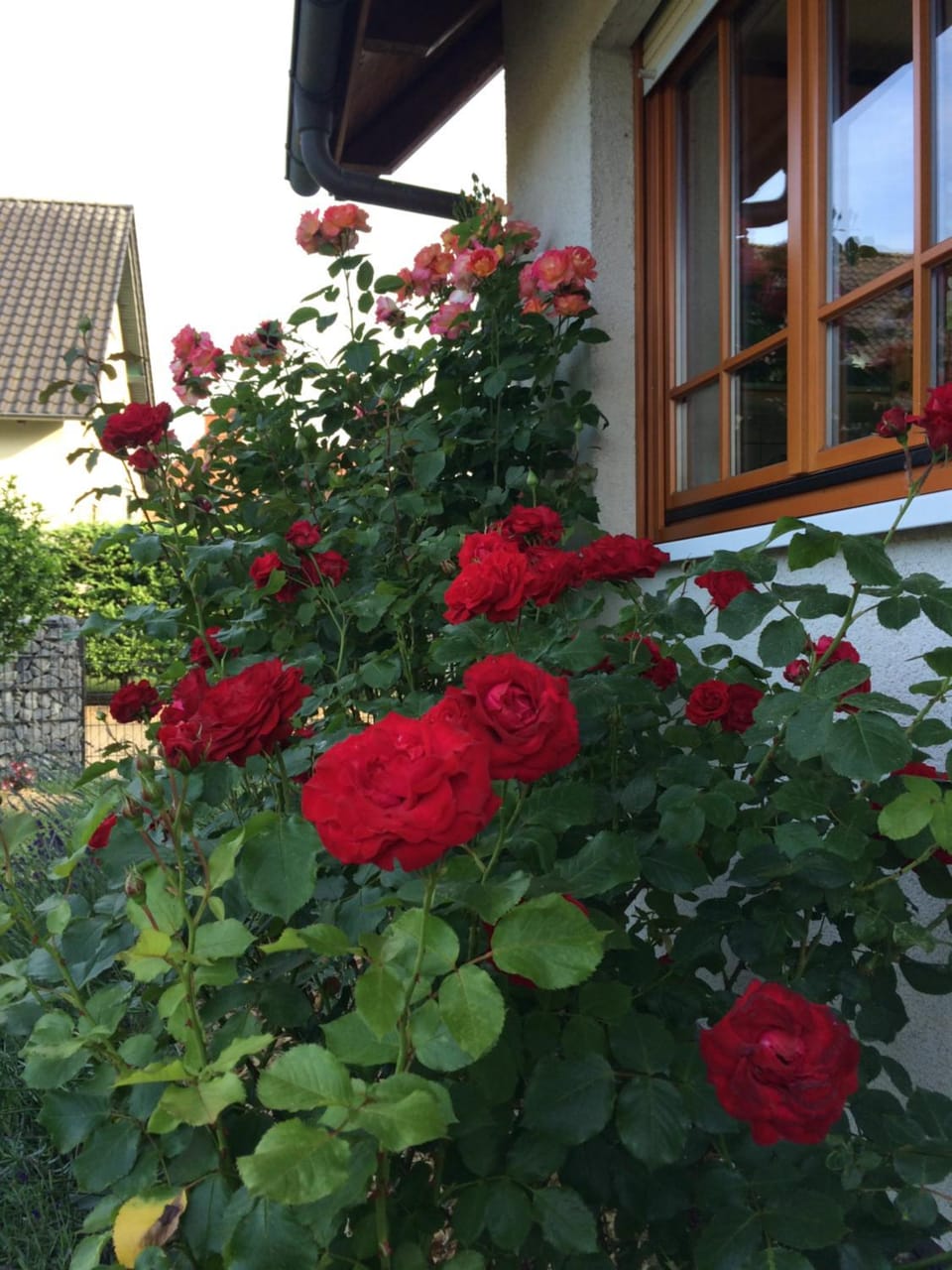 Summer