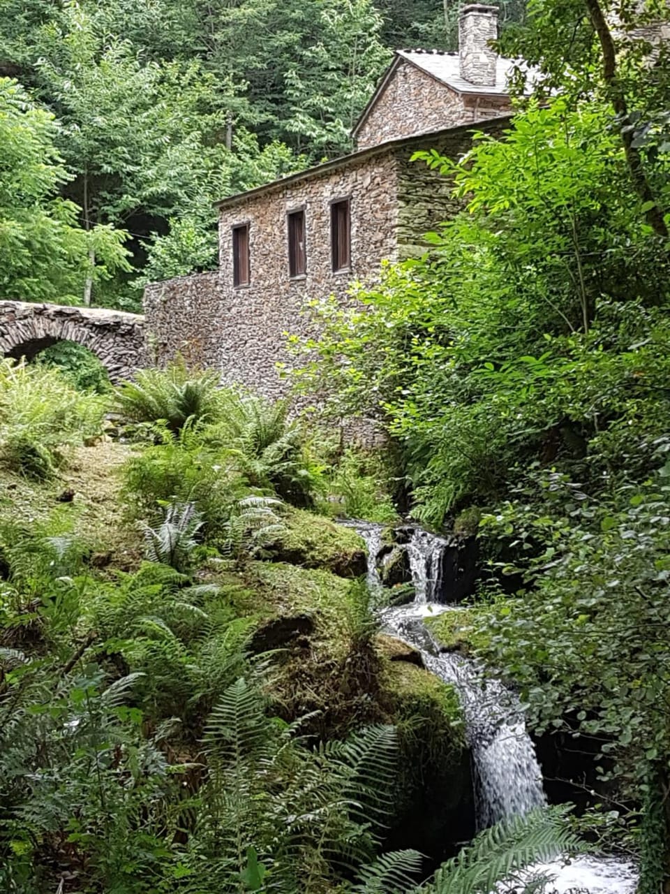Garden, Garden, Garden view, River view