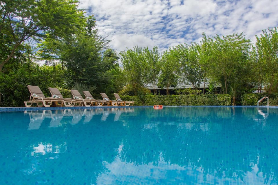 Pool view, Swimming pool