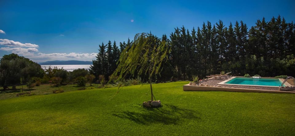 Garden, Garden, Garden view, Swimming pool