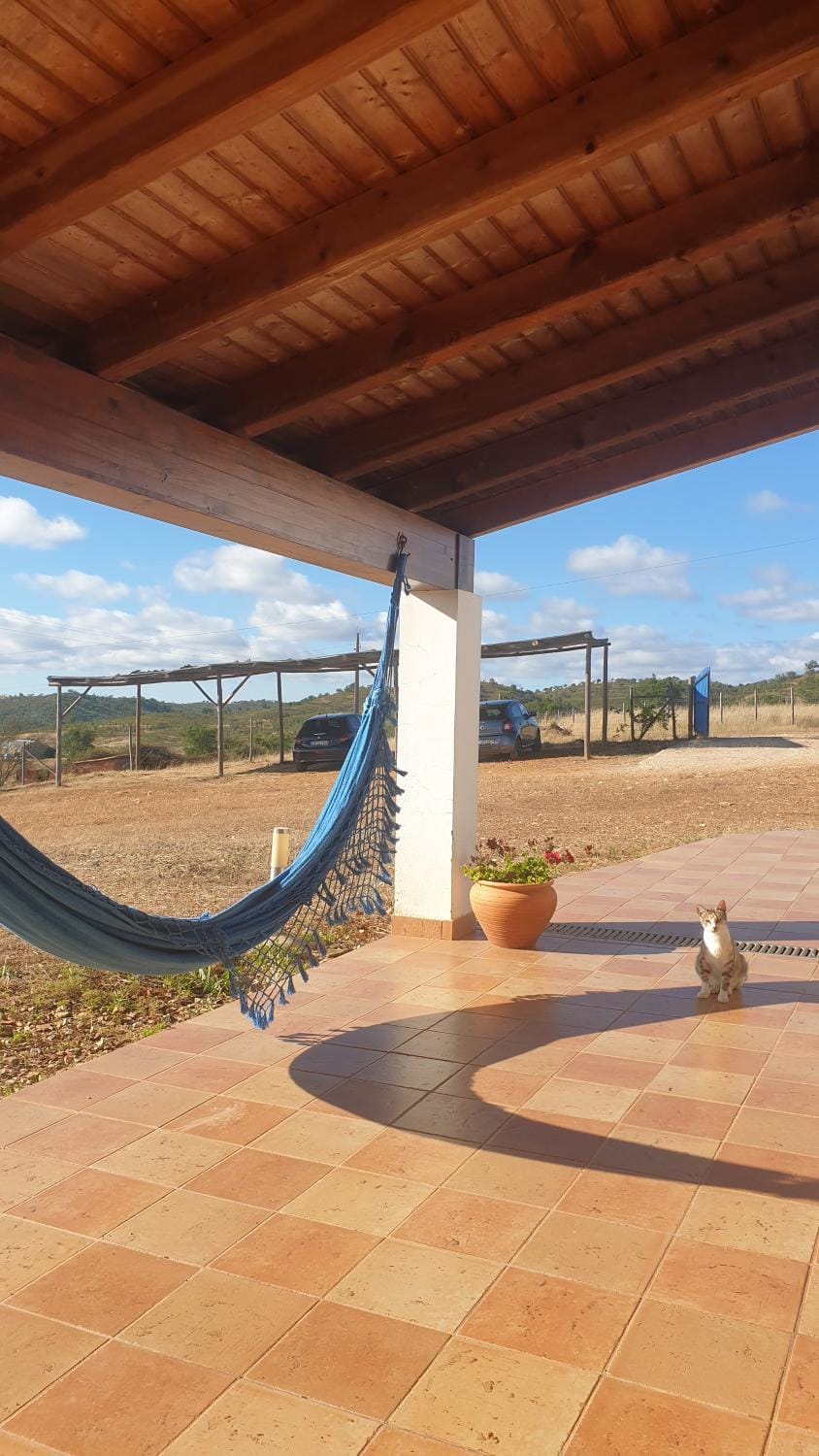Herdade Do Azinhal Country House in Faro District
