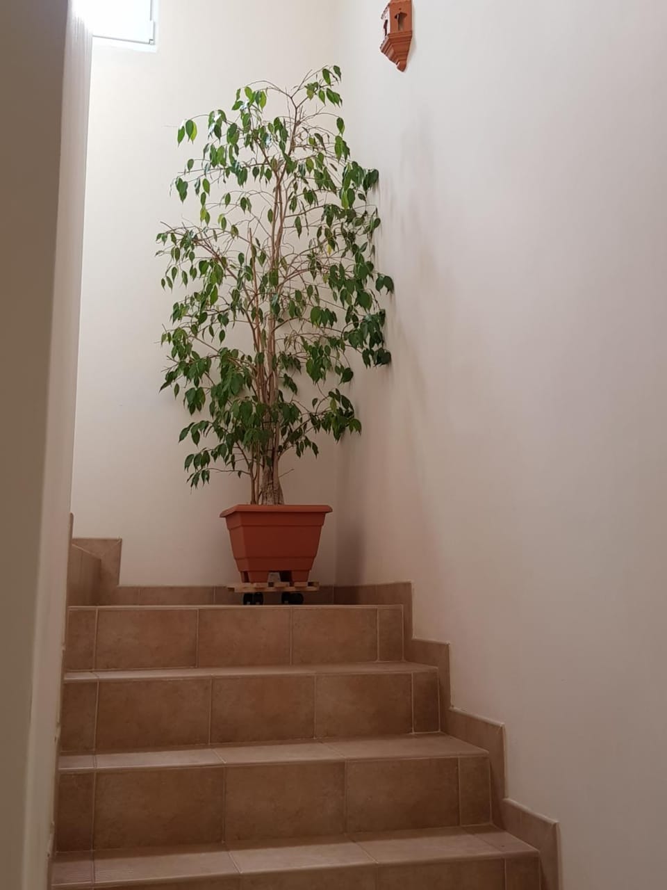 Apartamentos Hacienda de Arna Apartment in Cantabria