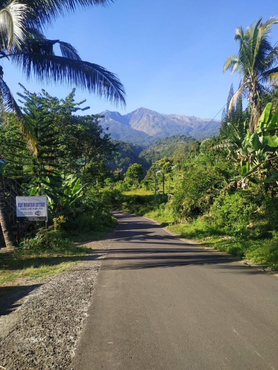 Blue Mountain Cottage Vacation rental in West Nusa Tenggara, Indonesia