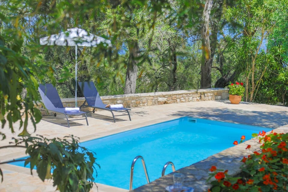 Patio, Day, Garden, Garden view, Pool view, Swimming pool, sunbed