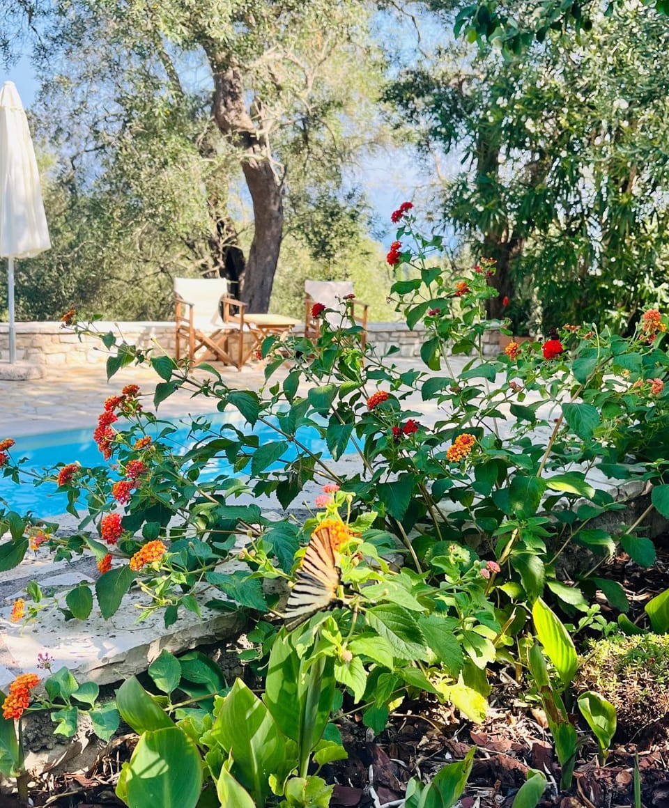 Isabella Paxos Holidays House in Peloponnese, Western Greece and the Ionian
