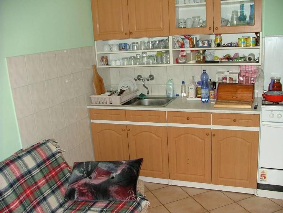 8513 Mihályháza - Rózsi Vendégház Apartment in Hungary