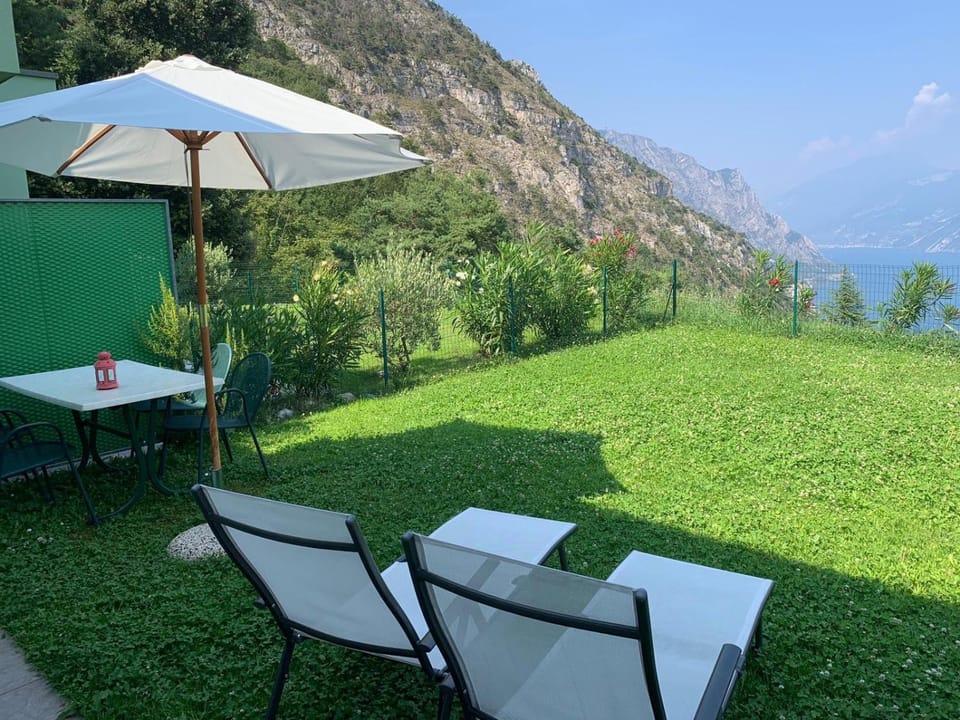 Patio, Garden
