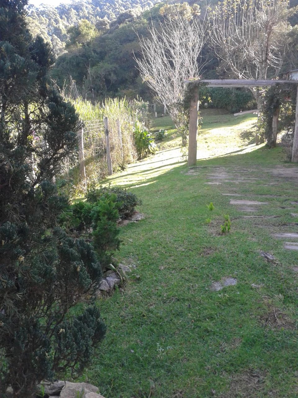 Garden view
