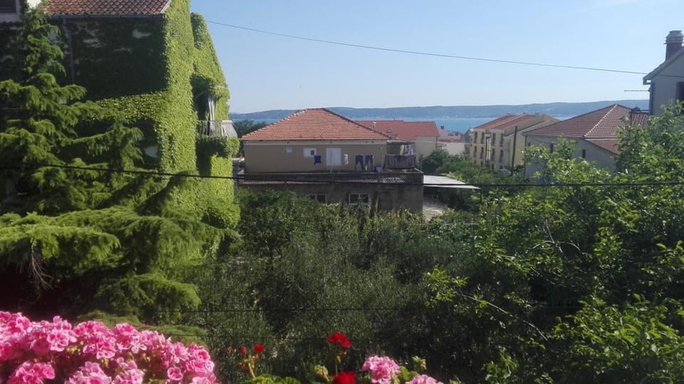 Neighbourhood, Sea view