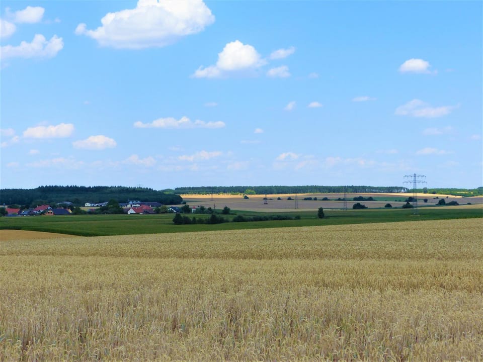 Natural landscape