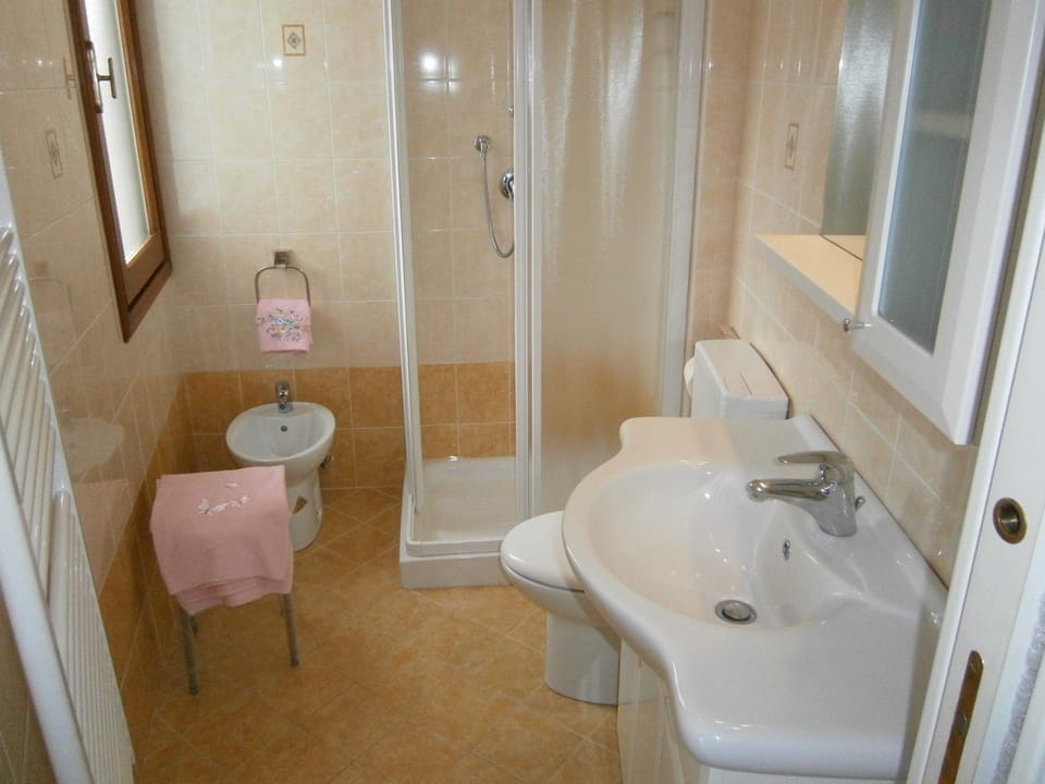 Shower, Toilet, Bathroom, bidet