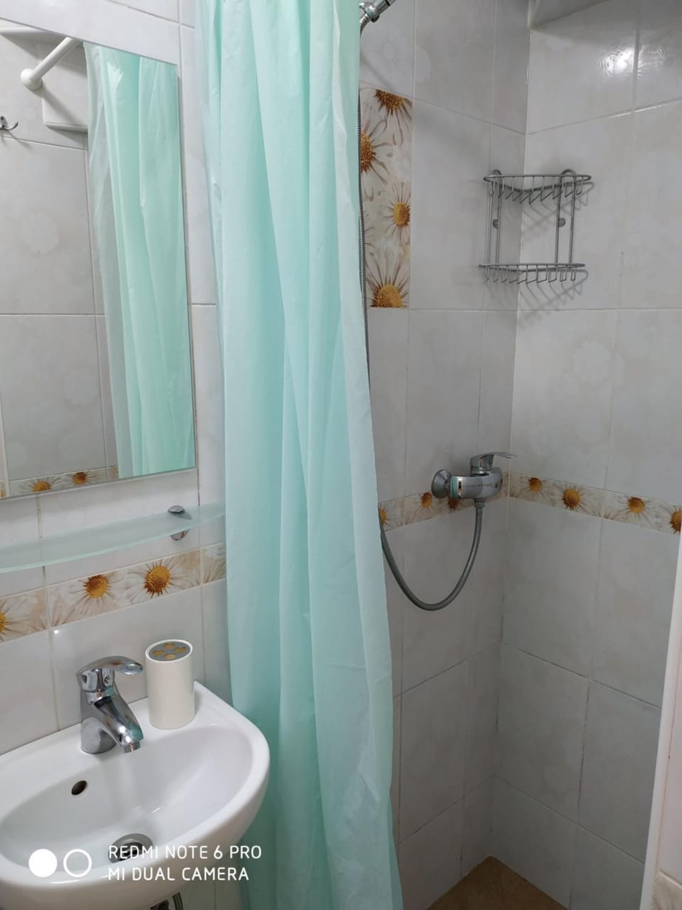 Guest House Butterfly Wing Bed and Breakfast in Odessa