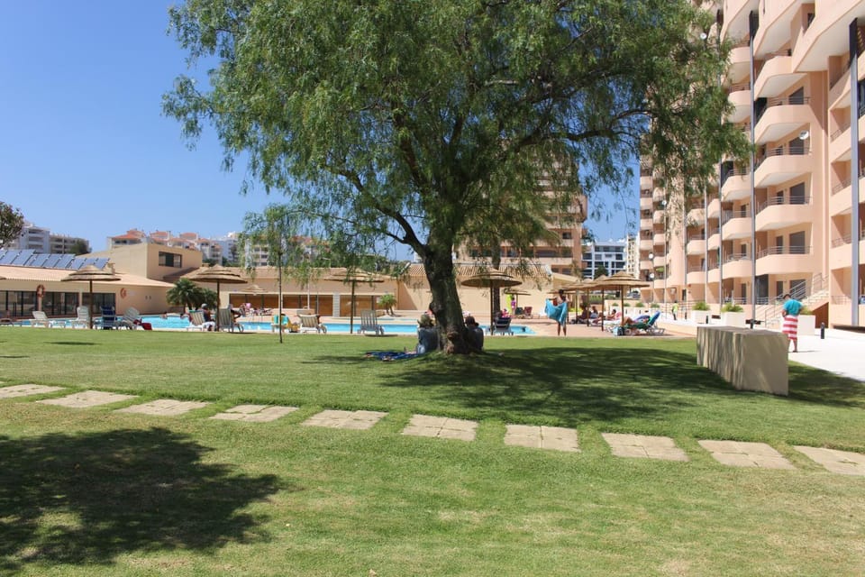 Garden, Balcony/Terrace