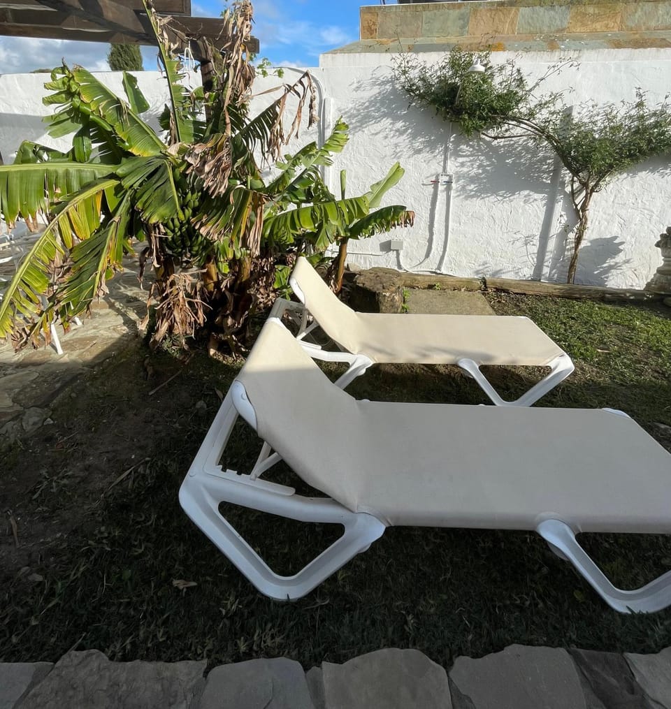 Garden, sunbed
