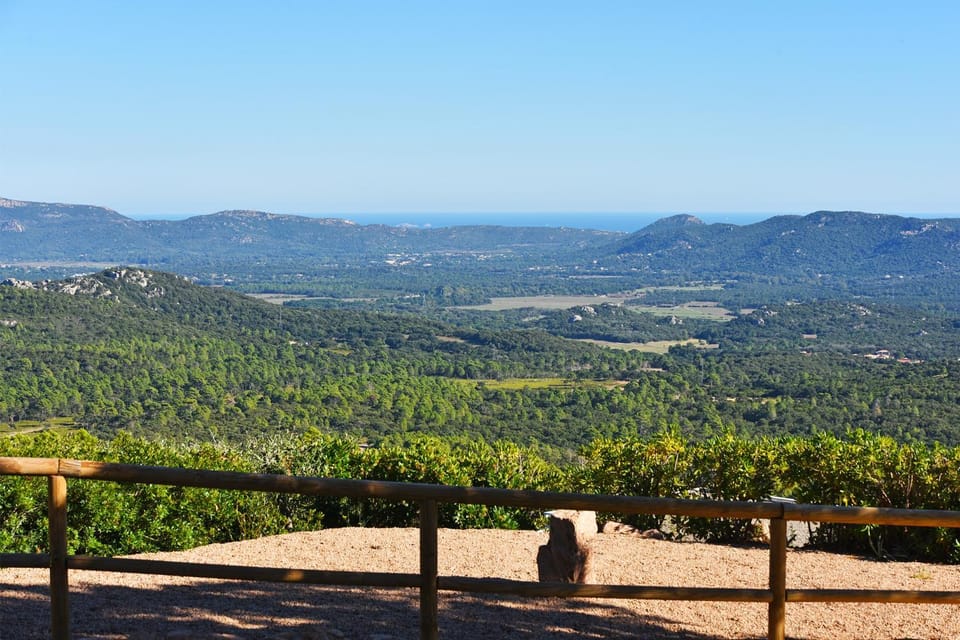 Garden, Pool view, Swimming pool