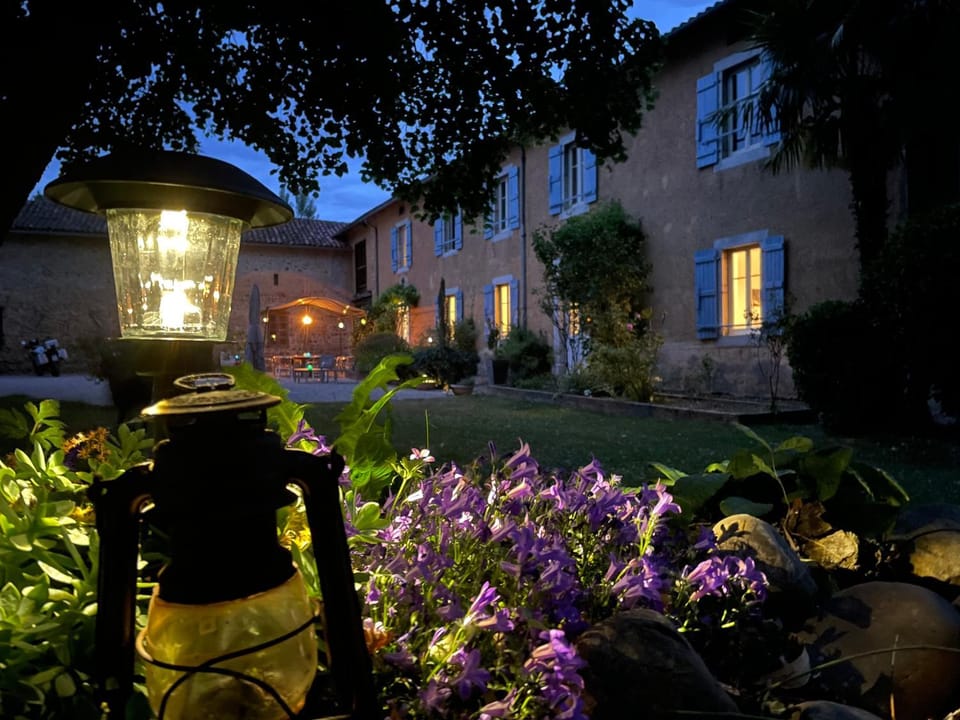 Night, Garden