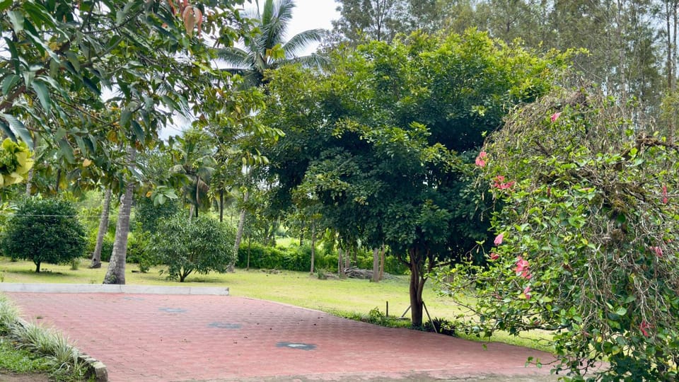 The Shades Holiday Homes Vacation rental in Kerala