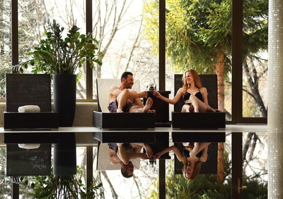 Spa and wellness centre/facilities, Swimming pool