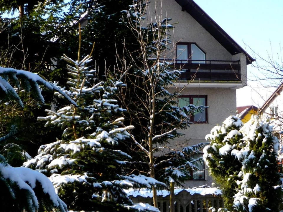 Property building, Winter