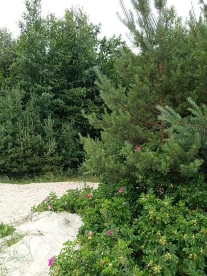 u Bozeny pokoje Vacation rental in West Pomeranian Voivodeship, Poland