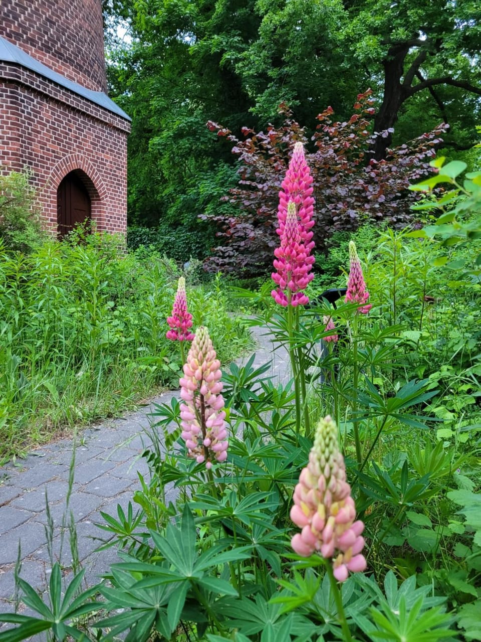 Spring