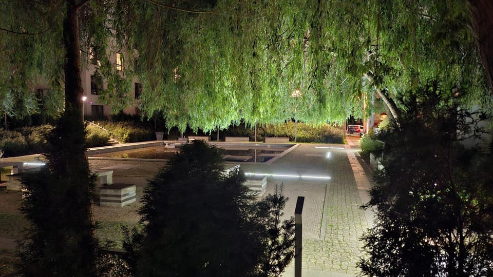Night, Natural landscape, Garden view