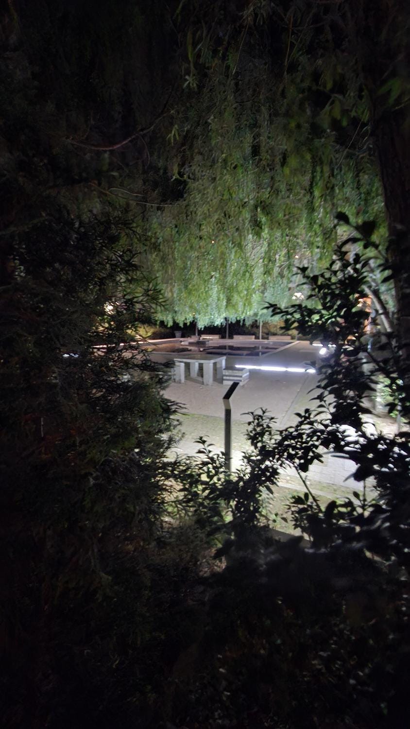 Property building, Night, Natural landscape