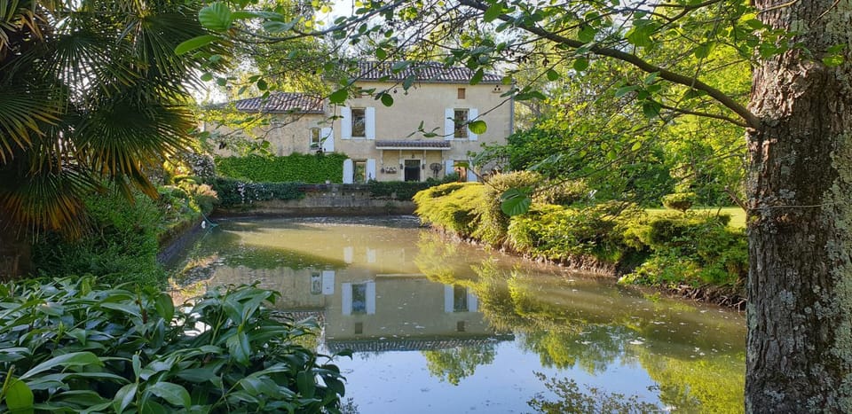 Property building, Garden