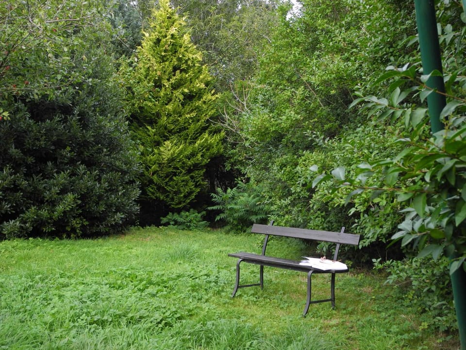 Garden, Garden view