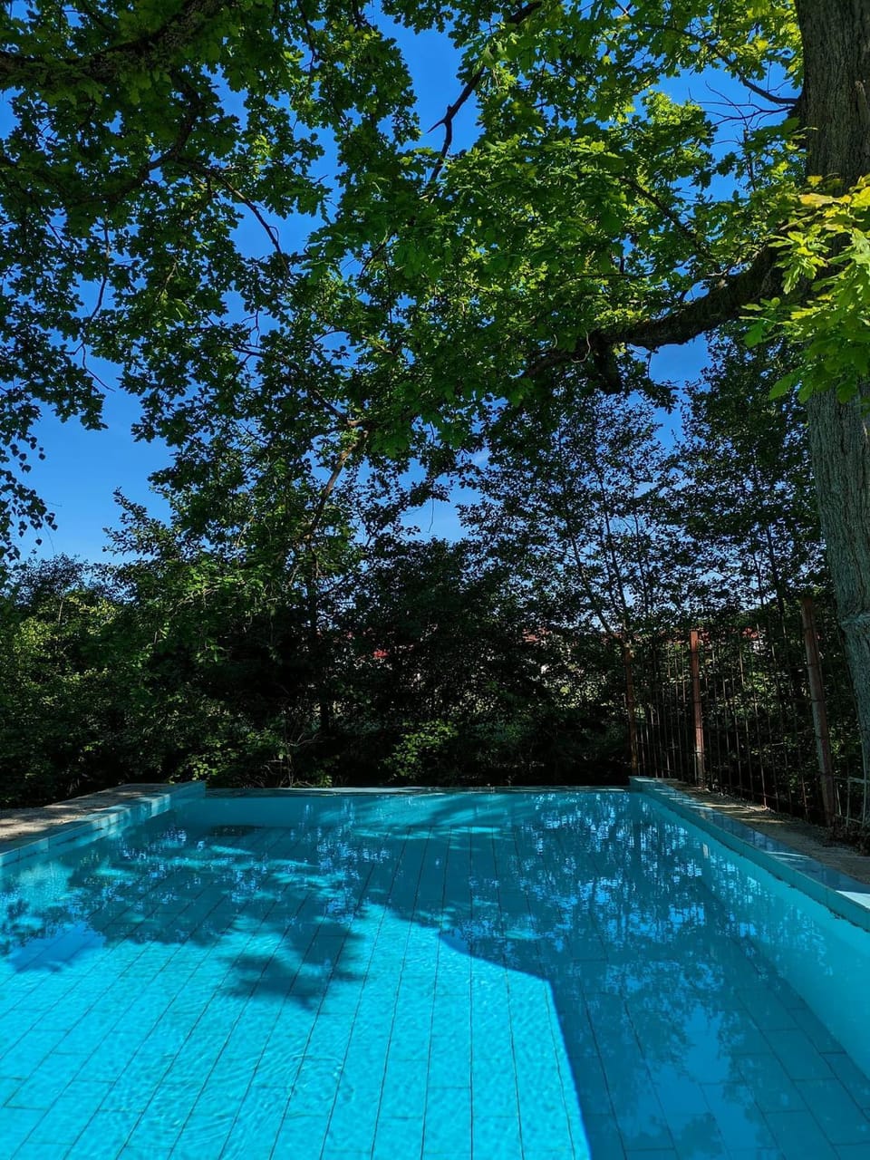 Pool view, Swimming pool
