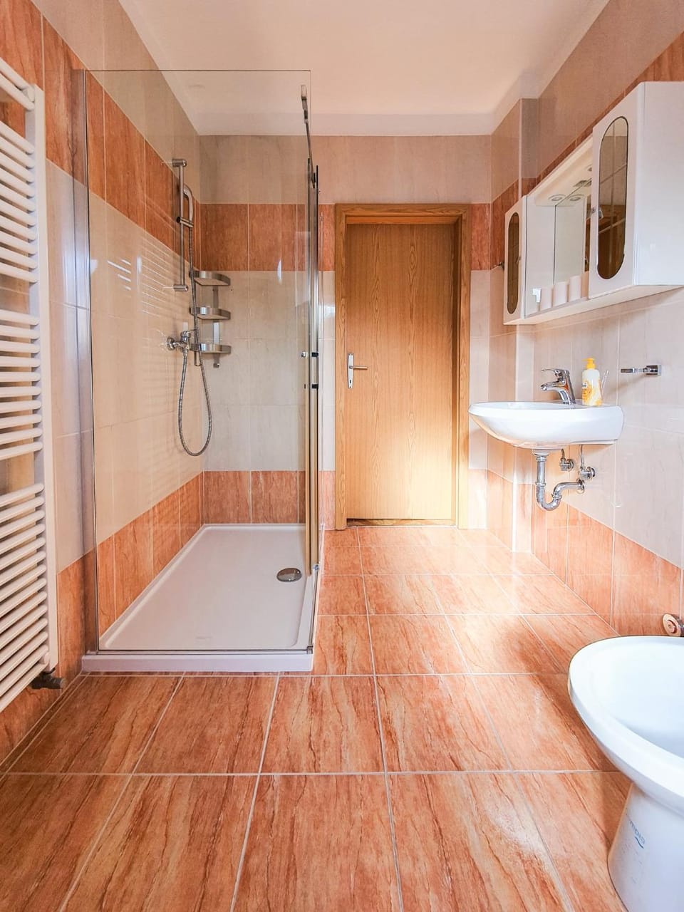 Shower, Toilet, Bathroom, bidet