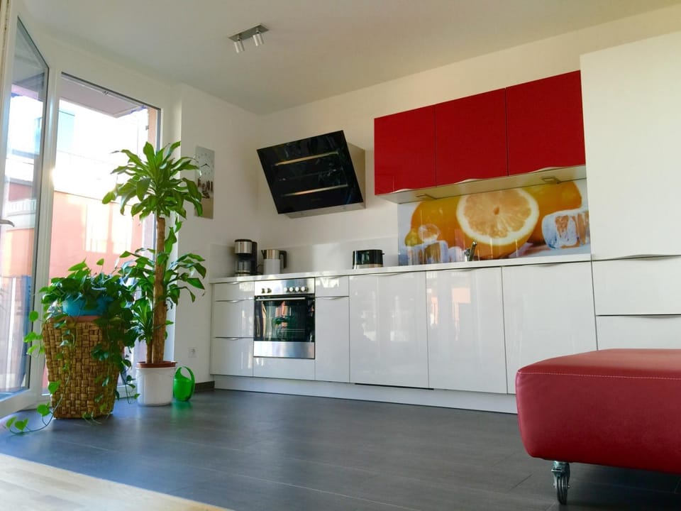 Rhein Melodie riverview luxury Apartment in Konstanz