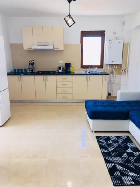 Ariana Apartment Apartment in Constanța County