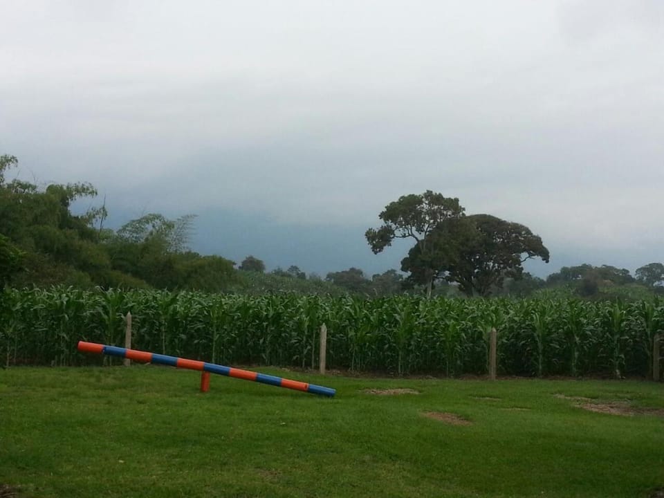 Finca La Camelia Country House in Quindio, Colombia
