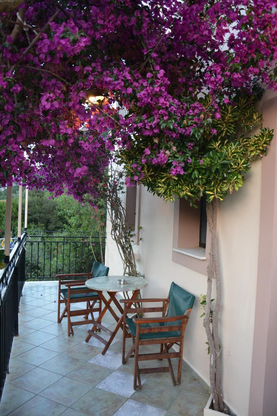 Balcony/Terrace