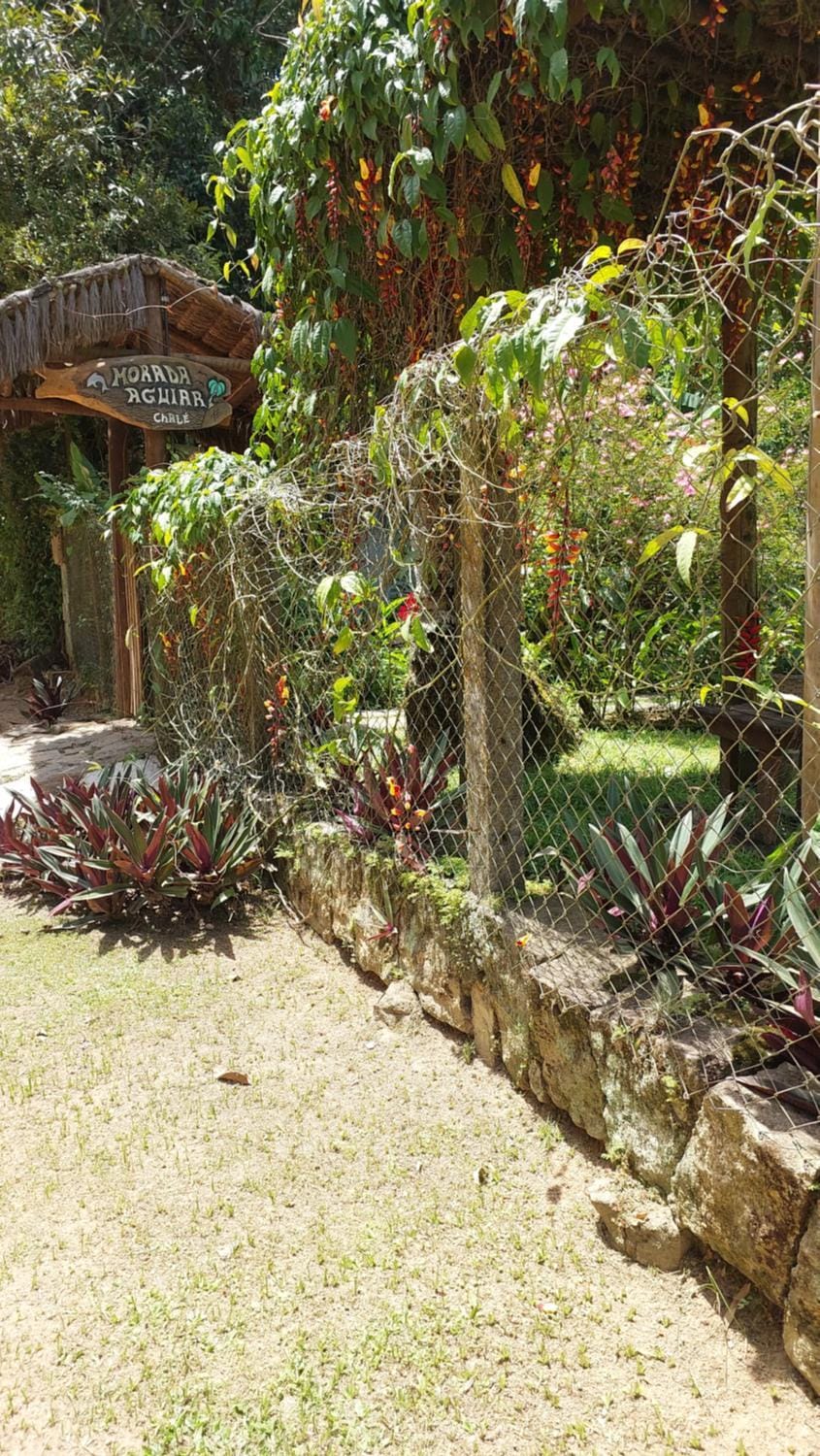 Property building, Natural landscape, Garden, Garden view
