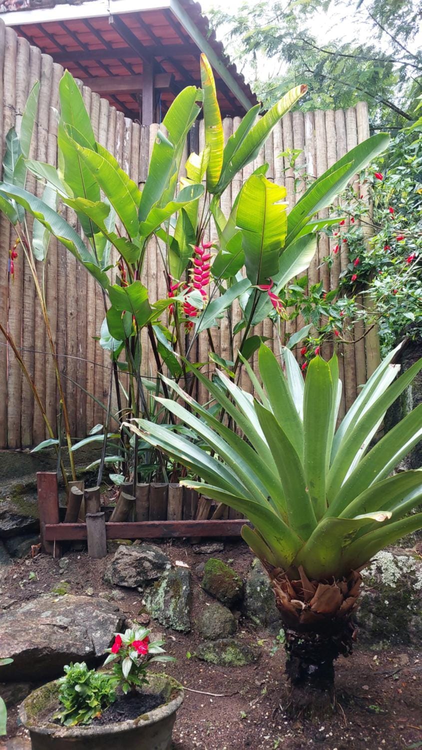 Spring, Garden, Garden view
