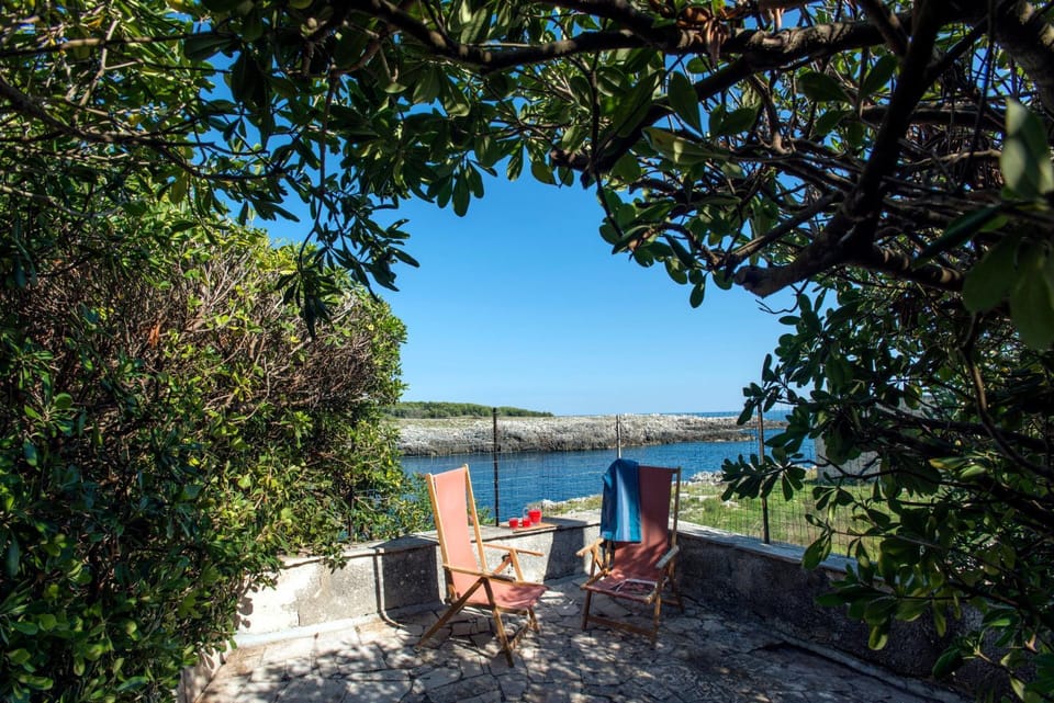 Bird's eye view, Garden, Sea view