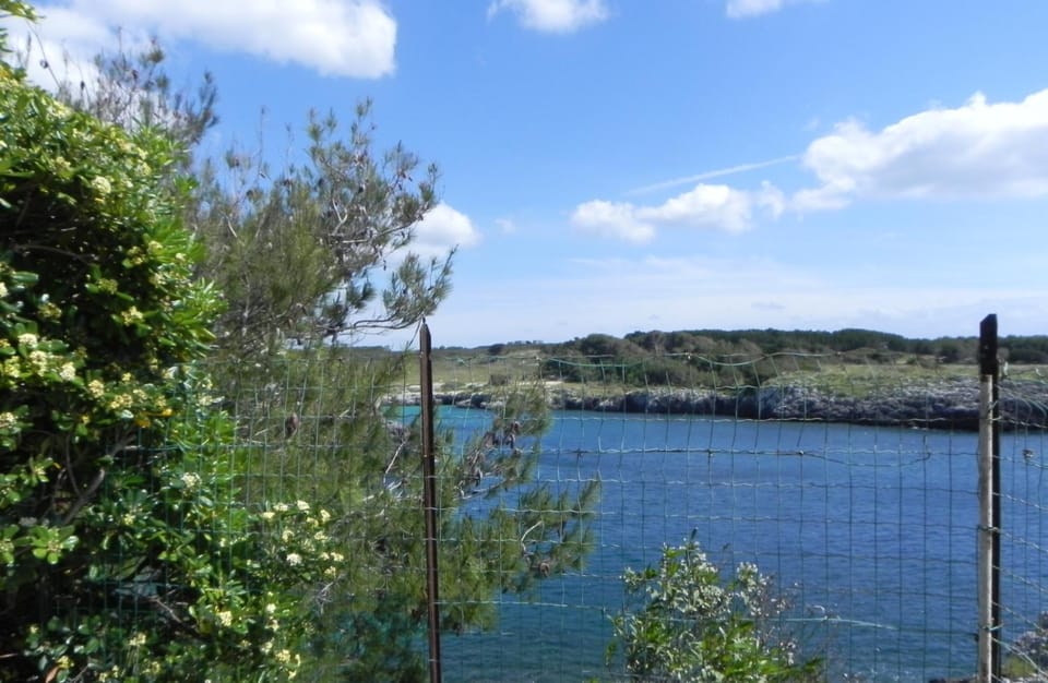 Garden view, Sea view