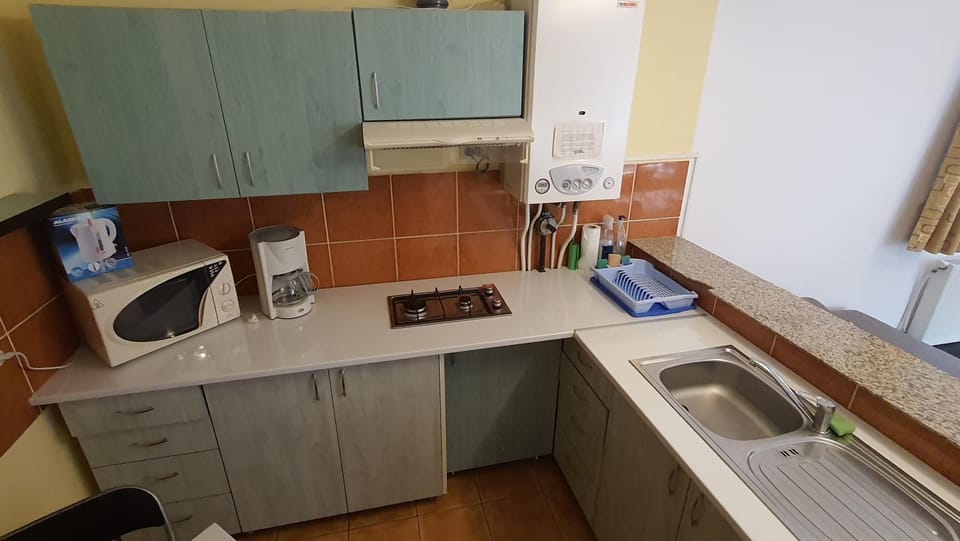 Kitchen or kitchenette, dishwasher, minibar, pet friendly, stove