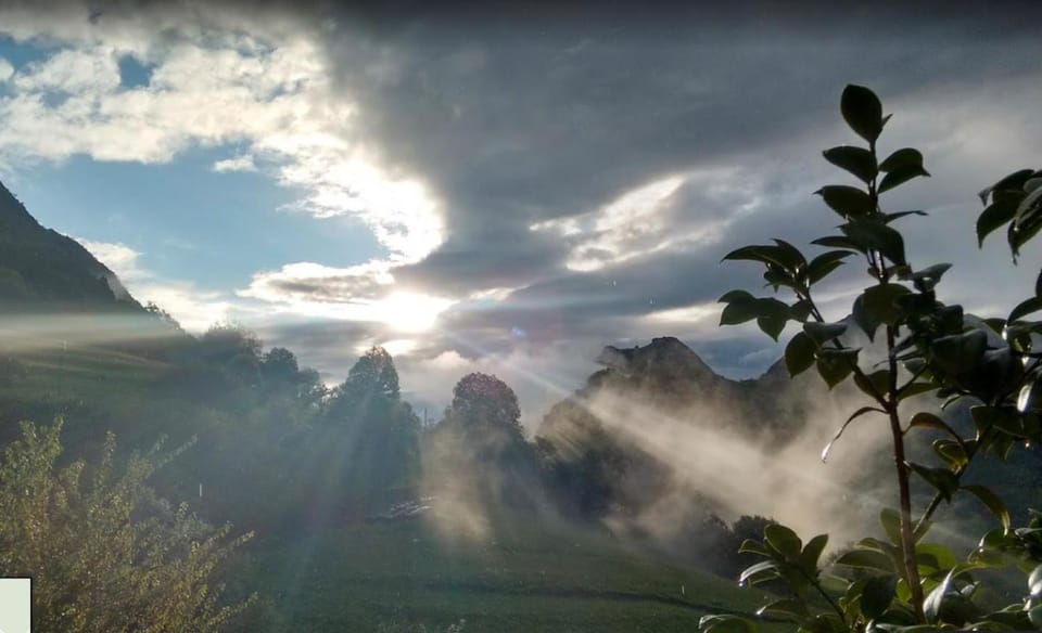 Off site, Summer, Sunrise