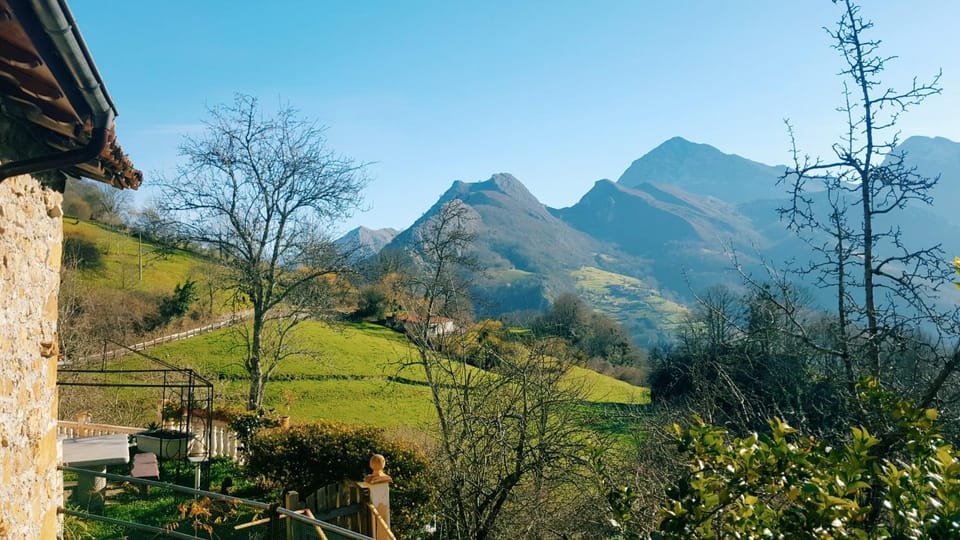 Mountain view