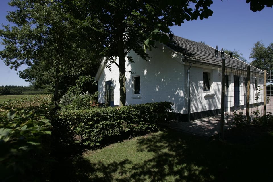 Property building, Garden, Decorative detail, On site, Garden view