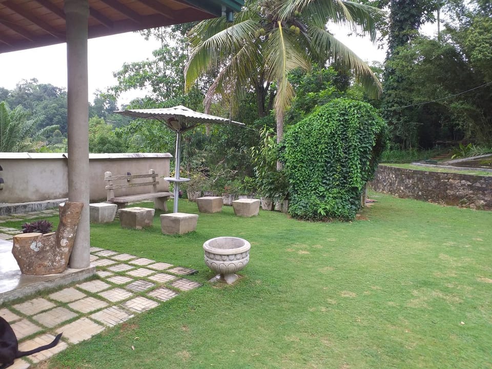 Garden view