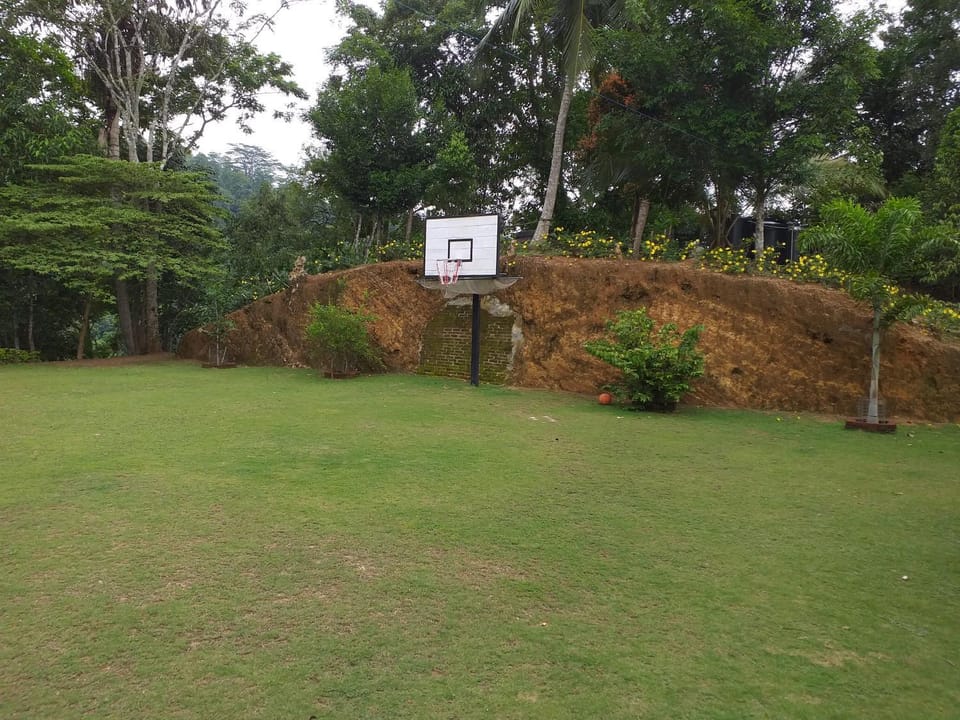 Natural landscape, Garden view
